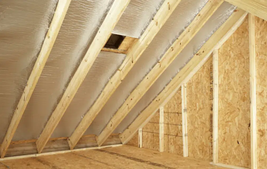 Attic Cleanup